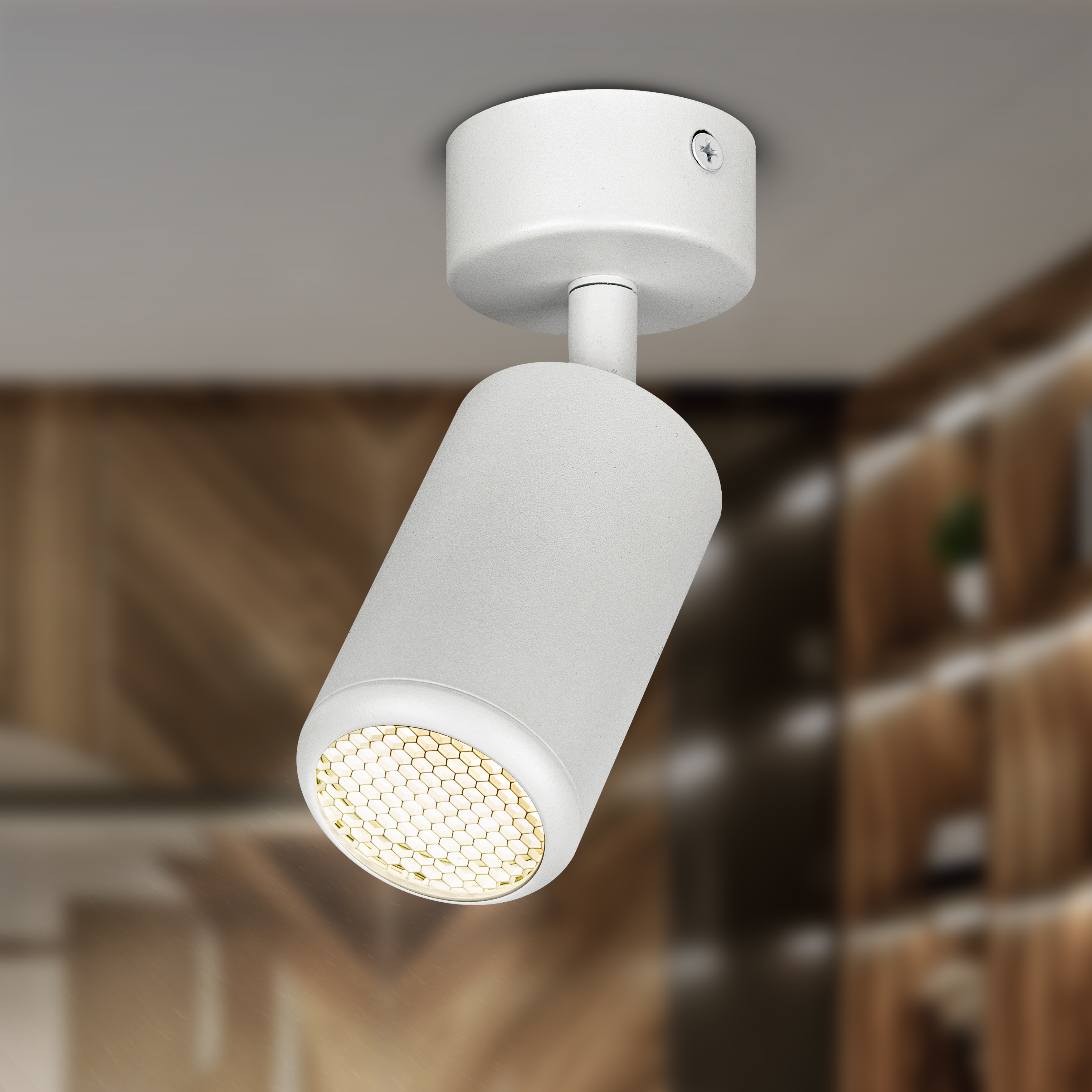 Светильник настенно-потолочный спот ЭРА OL55 WH MR16 GU10 IP20 белый